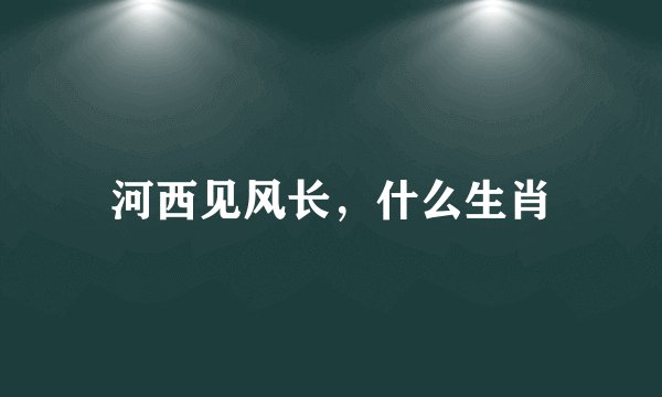 河西见风长，什么生肖
