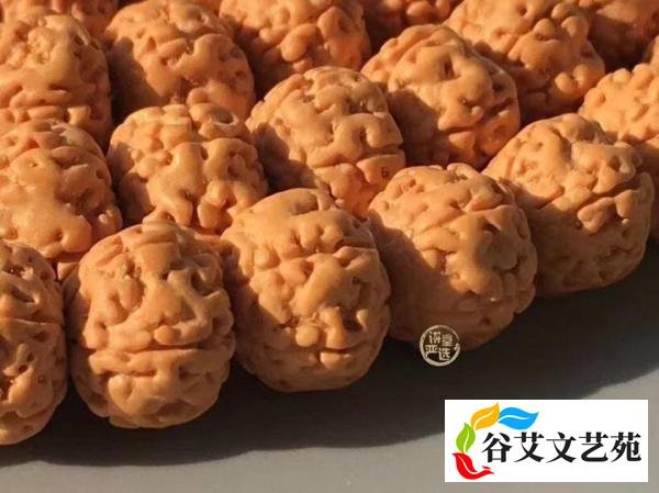 最完整的金刚菩提子价格参照