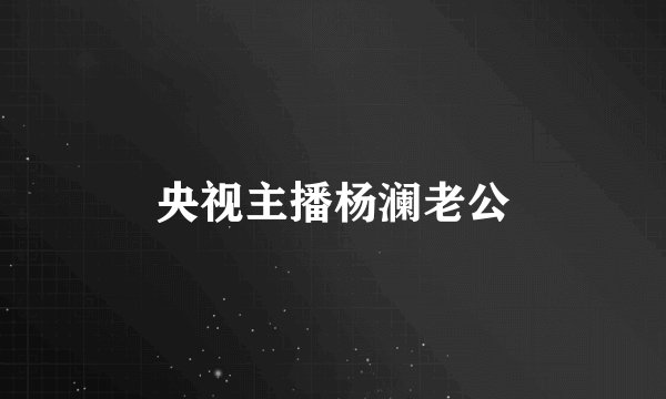 央视主播杨澜老公