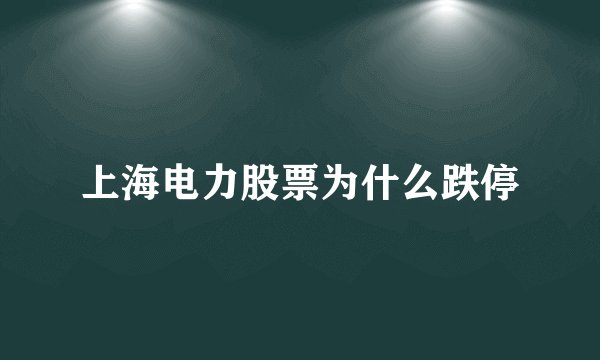 上海电力股票为什么跌停