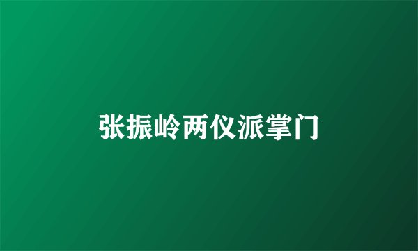 张振岭两仪派掌门