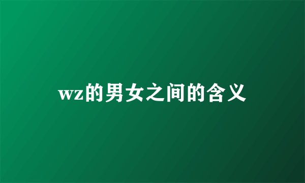 wz的男女之间的含义
