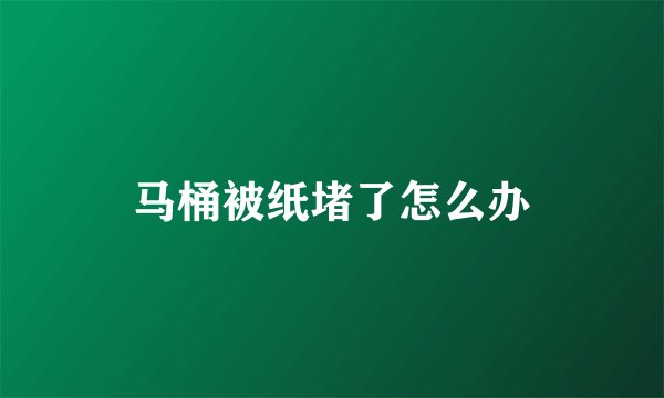 马桶被纸堵了怎么办