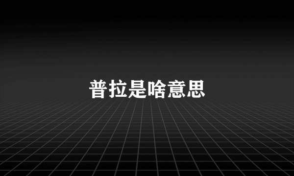 普拉是啥意思