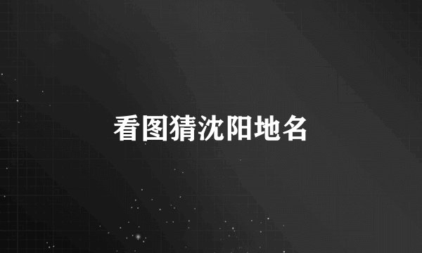 看图猜沈阳地名