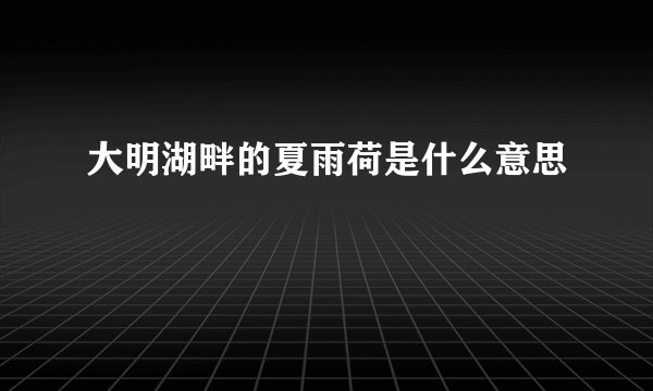大明湖畔的夏雨荷是什么意思