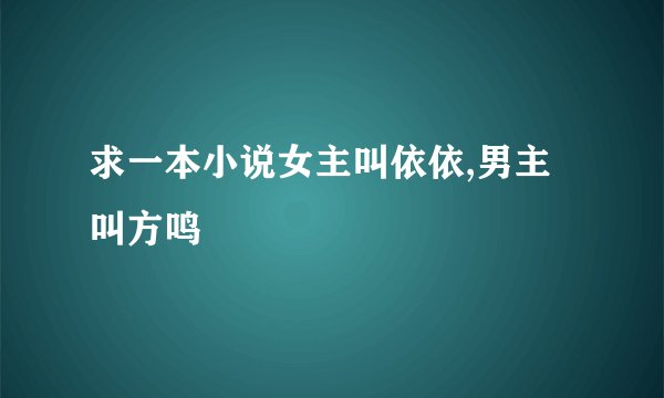 求一本小说女主叫依依,男主叫方鸣