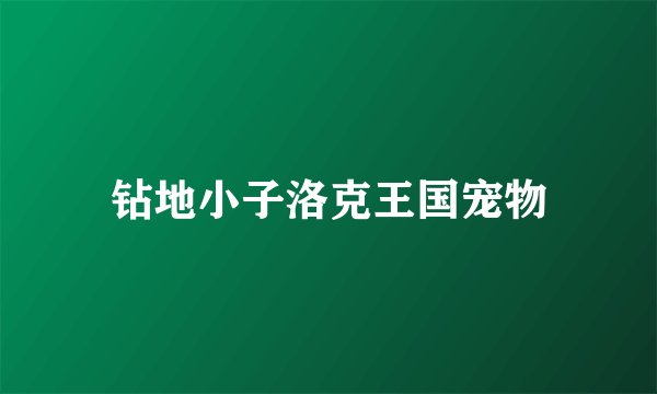 钻地小子洛克王国宠物