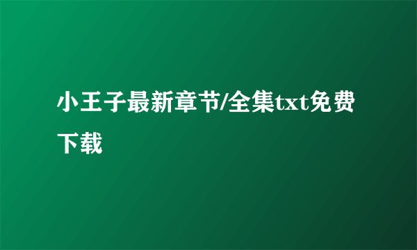 小王子最新章节/全集txt免费下载