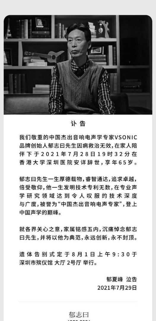 【仿生说】国产耳机市场的一处独特景观——威索尼克