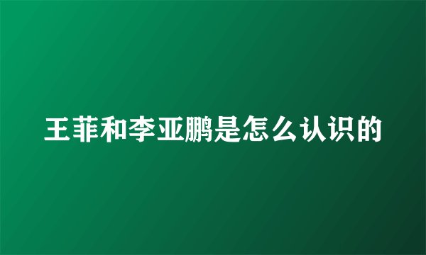 王菲和李亚鹏是怎么认识的