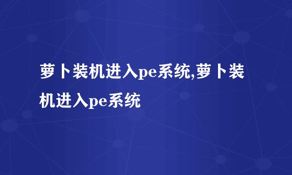 萝卜装机进入pe系统,萝卜装机进入pe系统