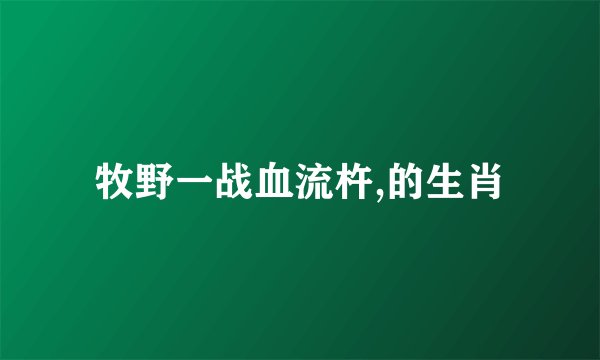 牧野一战血流杵,的生肖