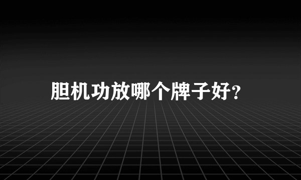 胆机功放哪个牌子好？