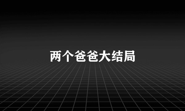 两个爸爸大结局