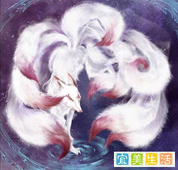 九尾狐的灭绝让我们神智不明,总被蛊惑!