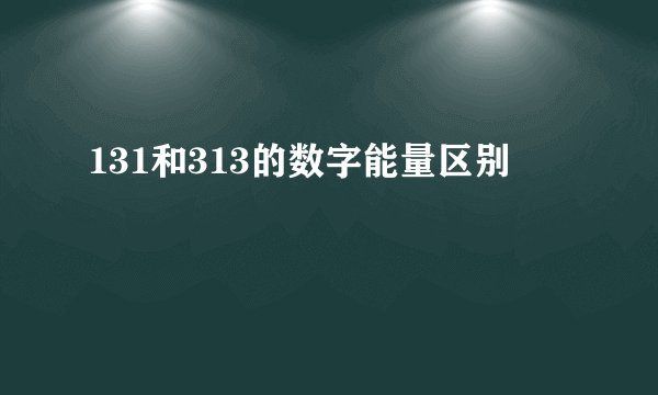 131和313的数字能量区别