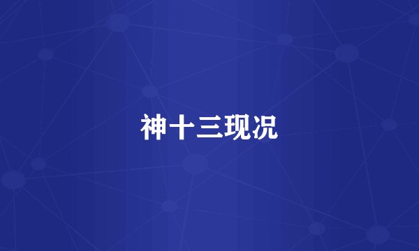 神十三现况