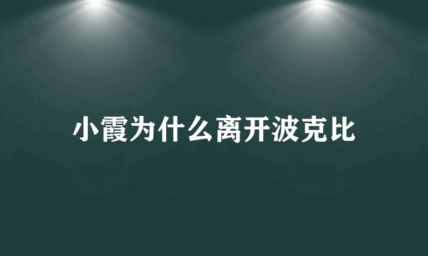 小霞为什么离开波克比