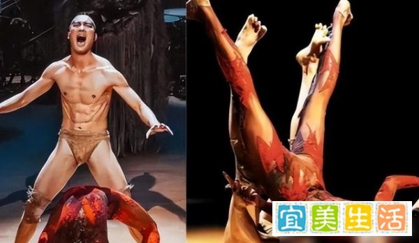 《《彩舞》之辩:杨丽萍的艺术探索与社会观念的交锋》