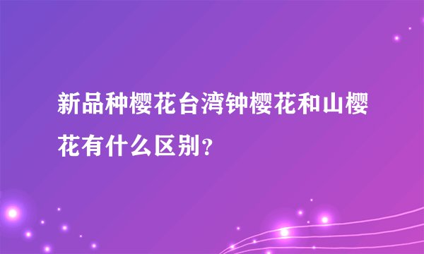 新品种樱花台湾钟樱花和山樱花有什么区别？