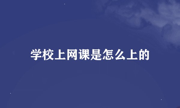 学校上网课是怎么上的