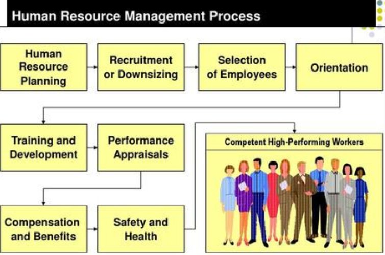 人力资源英文是human resources还是talent？