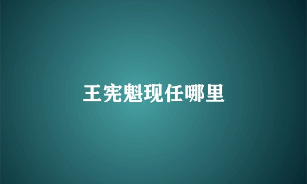 王宪魁现任哪里