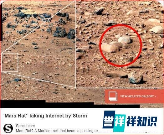 NASA好奇号又有惊人发现！火星现“爬行蜥蜴”