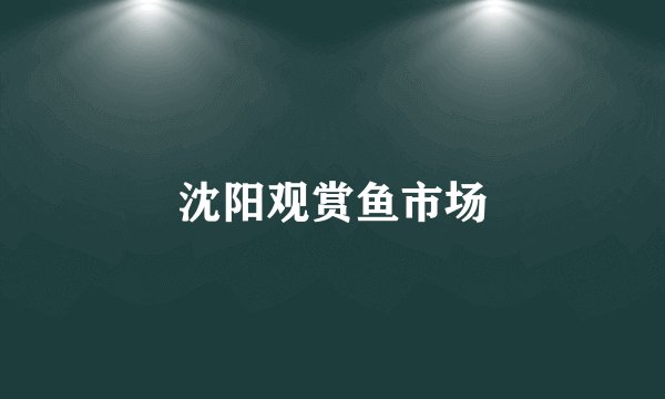 沈阳观赏鱼市场