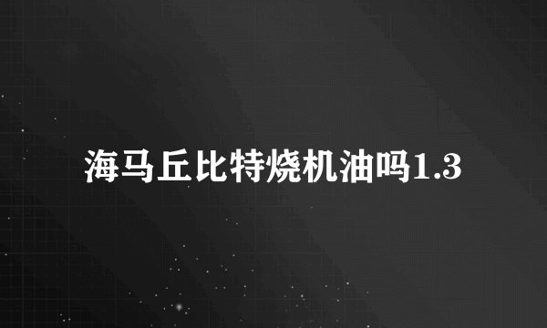 海马丘比特烧机油吗1.3