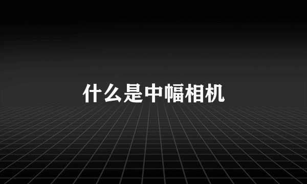 什么是中幅相机