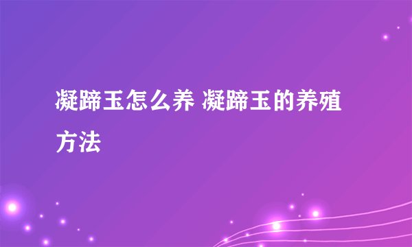 凝蹄玉怎么养 凝蹄玉的养殖方法