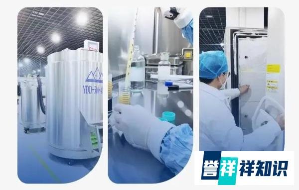 2025年，细胞存储要多少钱？