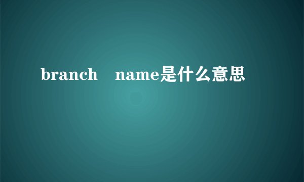 branch name是什么意思