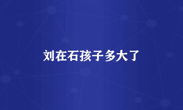 刘在石孩子多大了