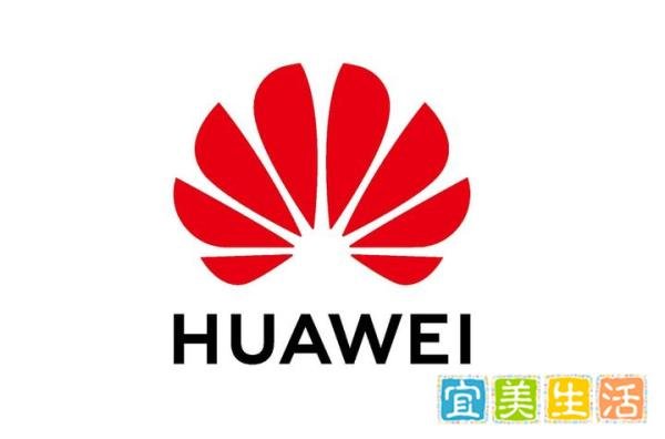 华为p70手机曝光！外观很有辨识度！