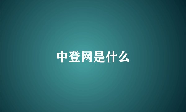中登网是什么
