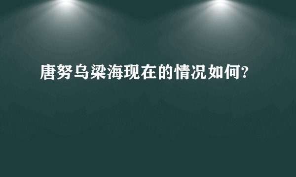 唐努乌梁海现在的情况如何?