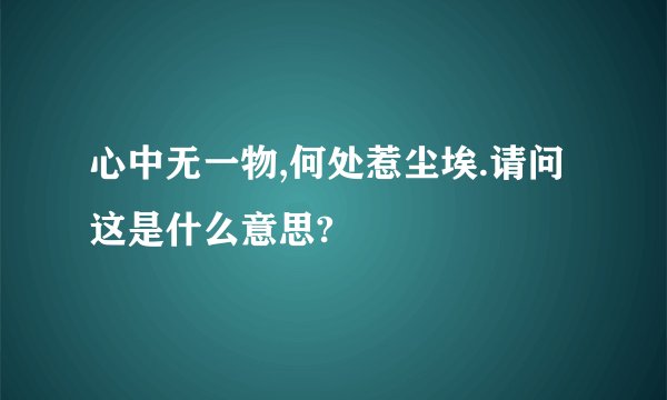 心中无一物,何处惹尘埃.请问这是什么意思?