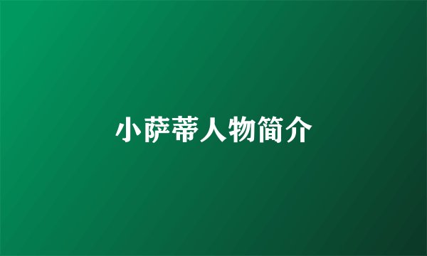 小萨蒂人物简介