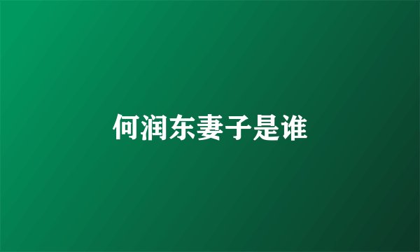 何润东妻子是谁