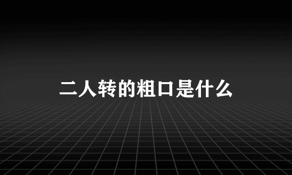 二人转的粗口是什么