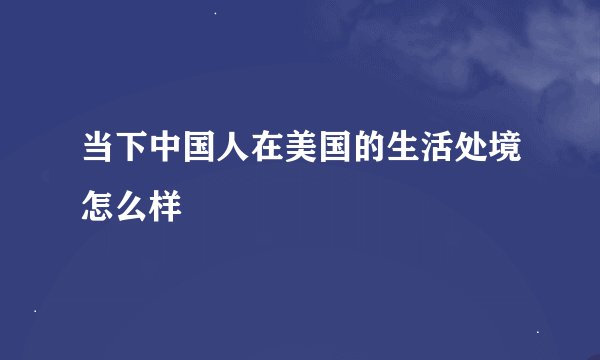 当下中国人在美国的生活处境怎么样