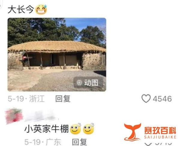 为啥中国人不爱去韩国旅游了？