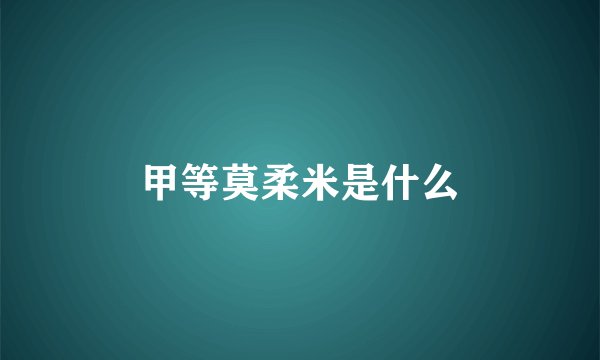 甲等莫柔米是什么
