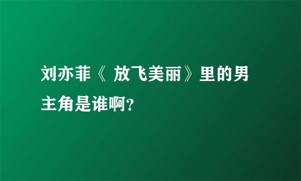 刘亦菲《 放飞美丽》里的男主角是谁啊？