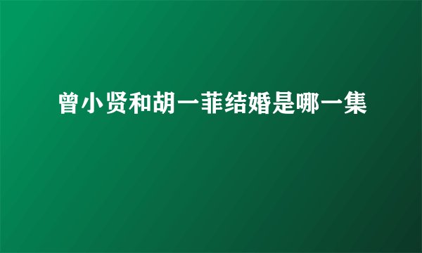 曾小贤和胡一菲结婚是哪一集