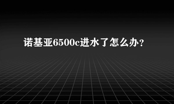 诺基亚6500c进水了怎么办？