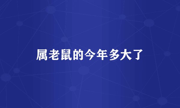 属老鼠的今年多大了